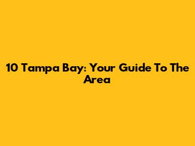 10 Tampa Bay: Your Guide To The Area