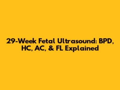 29-Week Fetal Ultrasound: BPD, HC, AC, & FL Explained