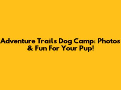 Adventure Trails Dog Camp: Photos & Fun For Your Pup!