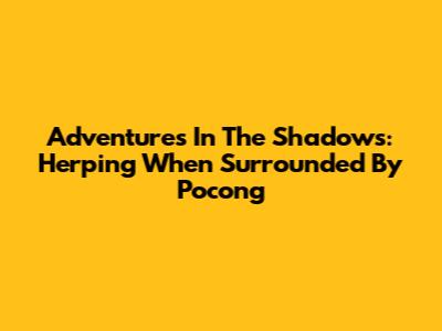 Adventures In The Shadows: Herping When Surrounded By Pocong