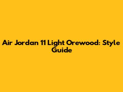 Air Jordan 11 Light Orewood: Style Guide