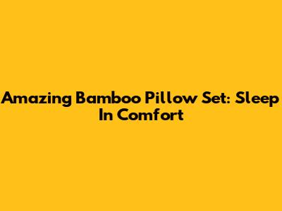 Amazing Bamboo Pillow Set: Sleep In Comfort