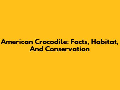 American Crocodile: Facts, Habitat, And Conservation