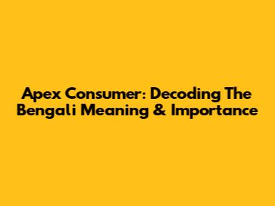 Apex Consumer: Decoding The Bengali Meaning & Importance