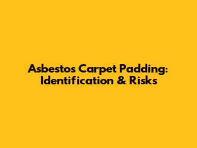 Asbestos Carpet Padding: Identification & Risks
