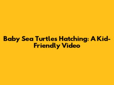 Baby Sea Turtles Hatching: A Kid-Friendly Video