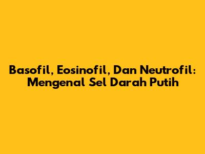 Basofil, Eosinofil, Dan Neutrofil: Mengenal Sel Darah Putih