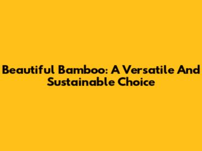 Beautiful Bamboo: A Versatile And Sustainable Choice