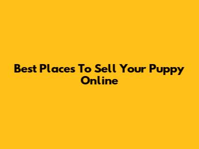 Best Places To Sell Your Puppy Online