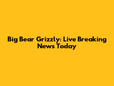 Big Bear Grizzly: Live Breaking News Today