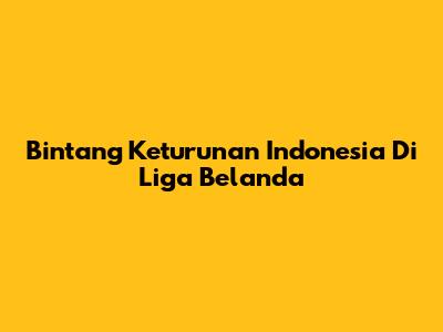 Bintang Keturunan Indonesia Di Liga Belanda