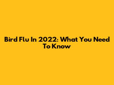 Bird Flu In 2022: What You Need To Know