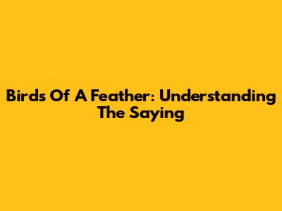 Birds Of A Feather: Understanding The Saying