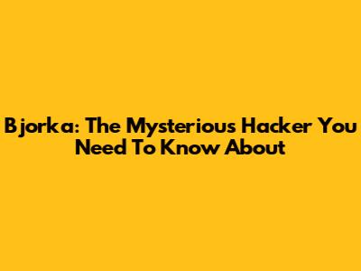Bjorka: The Mysterious Hacker You Need To Know About