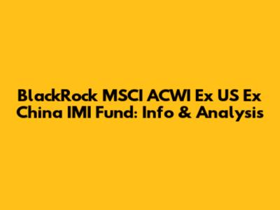 BlackRock MSCI ACWI Ex US Ex China IMI Fund: Info & Analysis