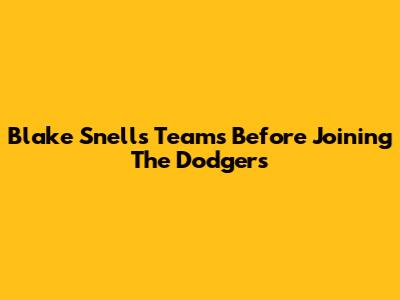 Blake Snell's Teams Before Joining The Dodgers
