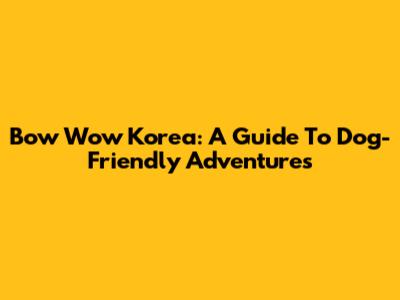 Bow Wow Korea: A Guide To Dog-Friendly Adventures