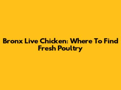Bronx Live Chicken: Where To Find Fresh Poultry