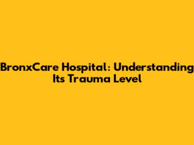 BronxCare Hospital: Understanding Its Trauma Level