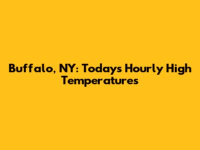 Buffalo, NY: Today's Hourly High Temperatures