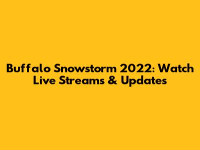 Buffalo Snowstorm 2022: Watch Live Streams & Updates