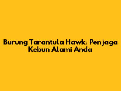 Burung Tarantula Hawk: Penjaga Kebun Alami Anda