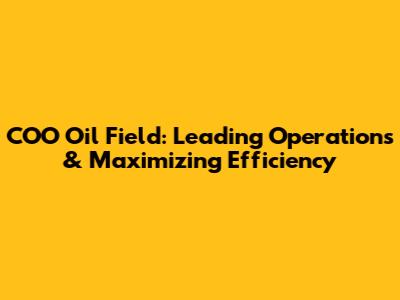 COO Oil Field: Leading Operations & Maximizing Efficiency