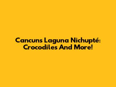 Cancun's Laguna Nichupté: Crocodiles And More!