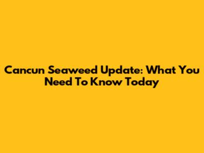 Cancun Seaweed Update: What You Need To Know Today