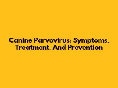 Canine Parvovirus: Symptoms, Treatment, And Prevention
