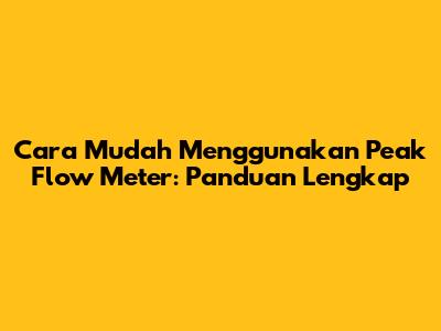 Cara Mudah Menggunakan Peak Flow Meter: Panduan Lengkap