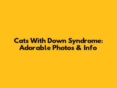 Cats With Down Syndrome: Adorable Photos & Info