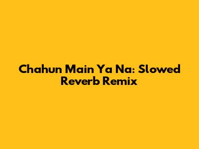 Chahun Main Ya Na: Slowed Reverb Remix