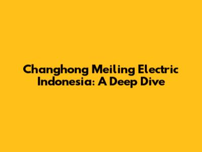 Changhong Meiling Electric Indonesia: A Deep Dive