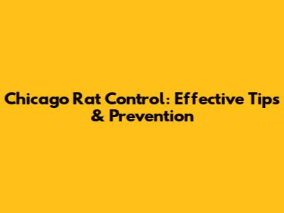 Chicago Rat Control: Effective Tips & Prevention