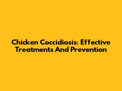 Chicken Coccidiosis: Effective Treatments And Prevention