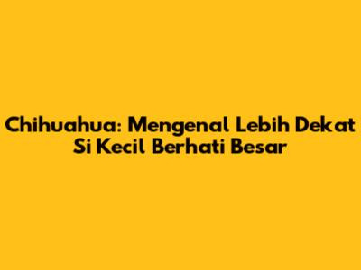 Chihuahua: Mengenal Lebih Dekat Si Kecil Berhati Besar