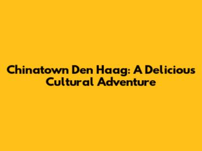 Chinatown Den Haag: A Delicious Cultural Adventure