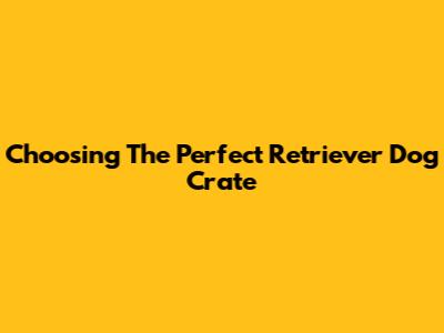 Choosing The Perfect Retriever Dog Crate