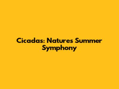Cicadas: Nature's Summer Symphony