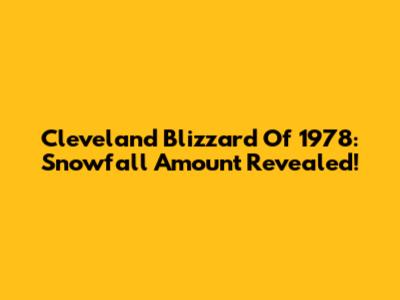 Cleveland Blizzard Of 1978: Snowfall Amount Revealed!