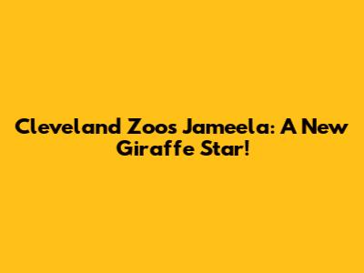 Cleveland Zoo's Jameela: A New Giraffe Star!