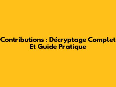 Contributions : Décryptage Complet Et Guide Pratique