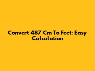 Convert 487 Cm To Feet: Easy Calculation