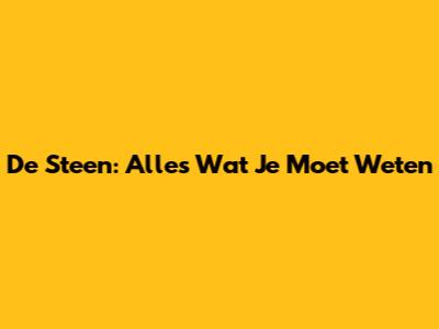De Steen: Alles Wat Je Moet Weten