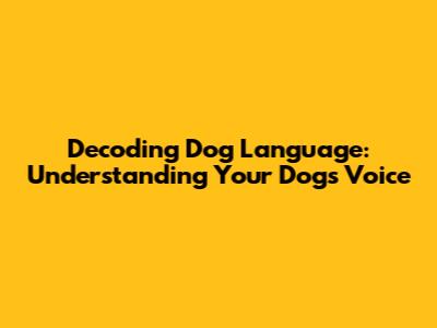Decoding Dog Language: Understanding Your Dog's Voice