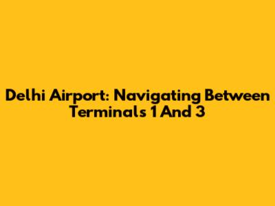 Delhi Airport: Navigating Between Terminals 1 And 3