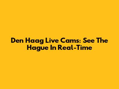 Den Haag Live Cams: See The Hague In Real-Time