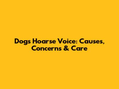 Dog's Hoarse Voice: Causes, Concerns & Care