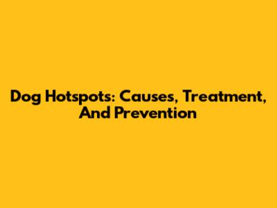 Dog Hotspots: Causes, Treatment, And Prevention